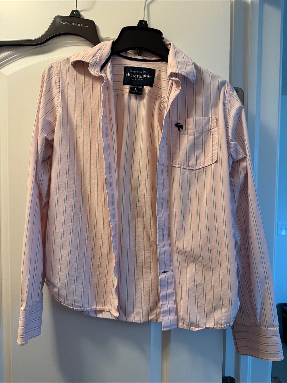 Abercrombie & Fitch Pink and Navy Striped Button-Down Shirt